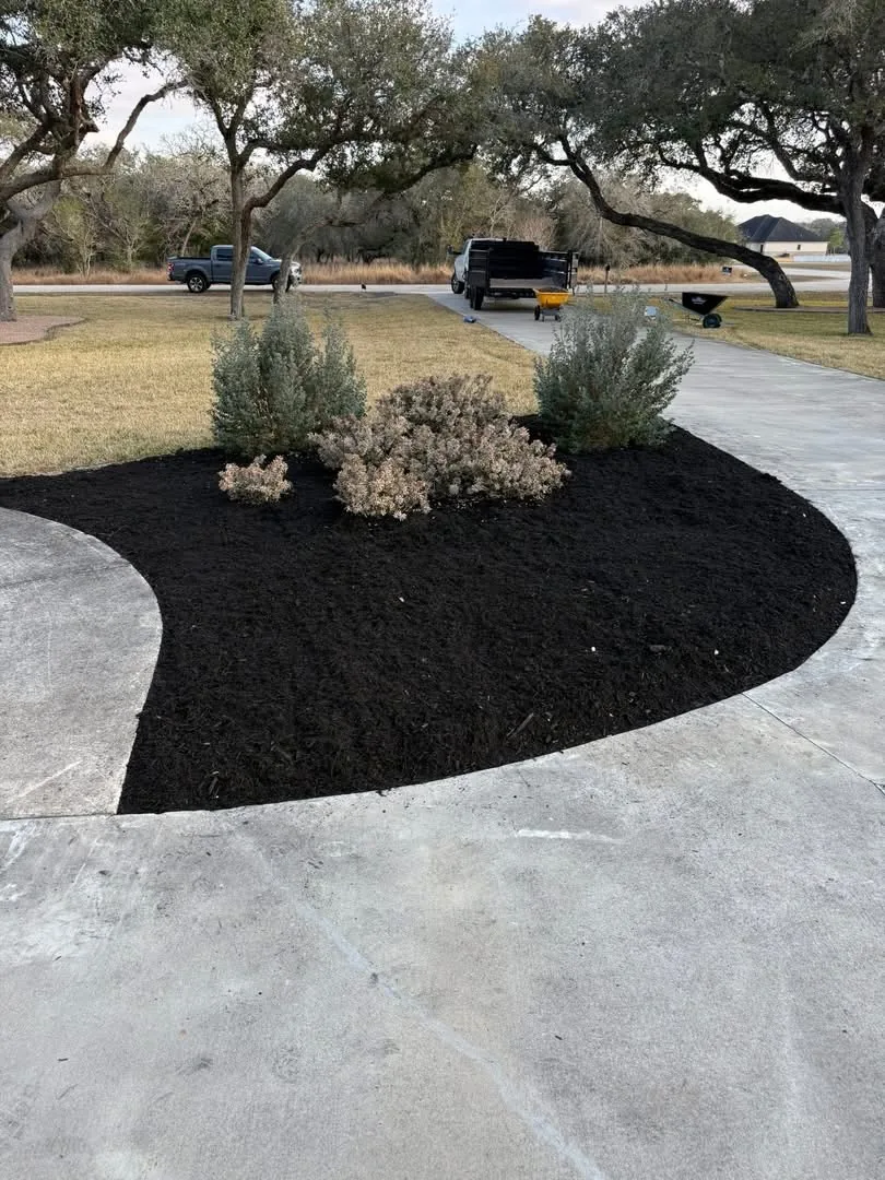Finished black mulch landscape bed
