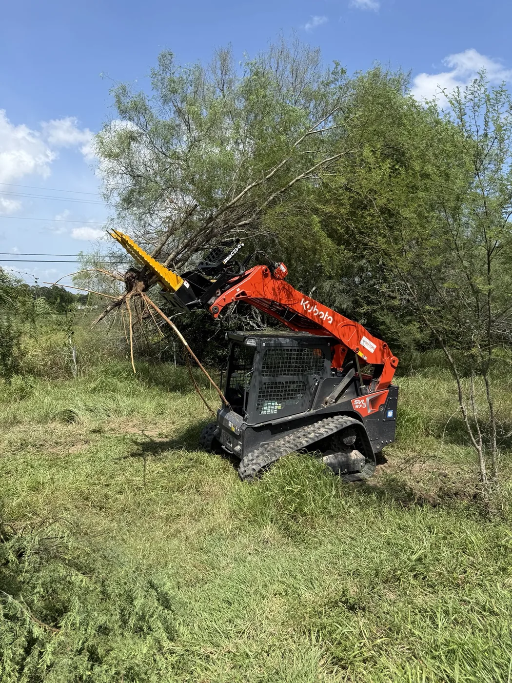 Skid steer removing tree
